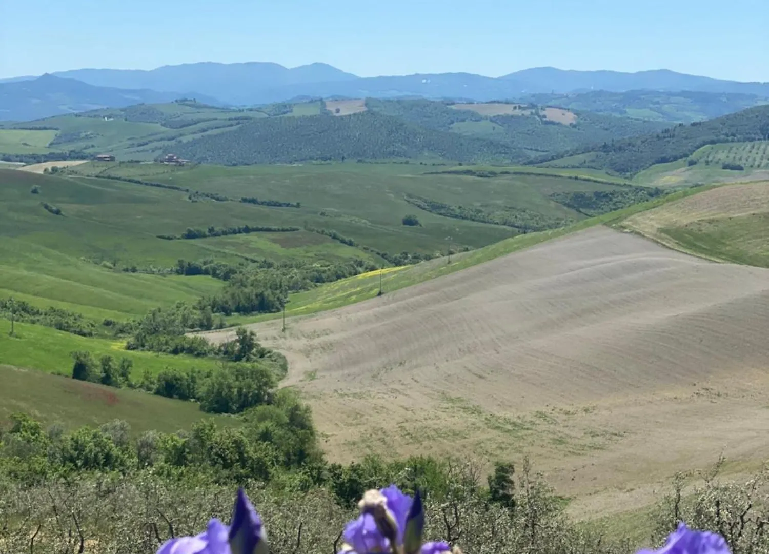 Filippo Agriturismo Casallario Volterra 0*,